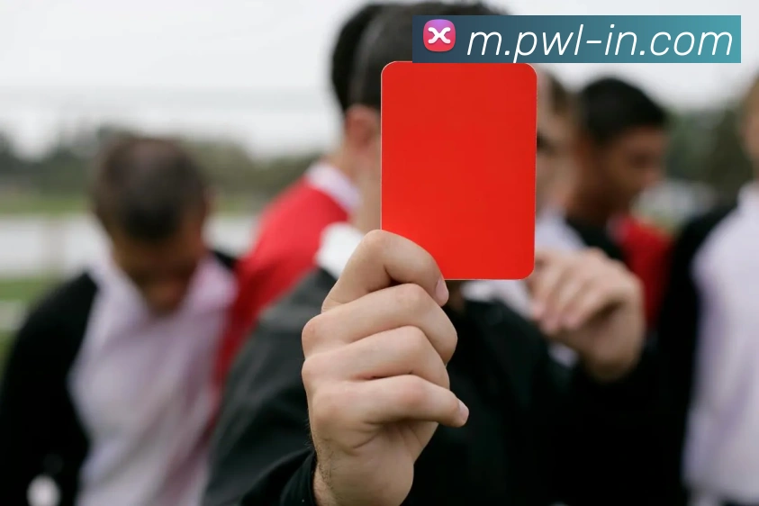 APP界面展示